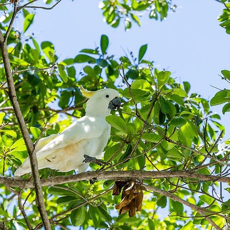 Kipara Tropical Rainforest Retreat Airlie Beach Dış mekan fotoğraf