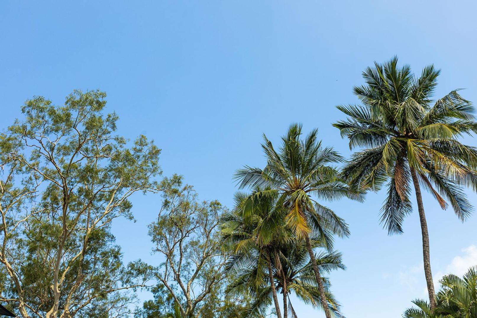 Kipara Tropical Rainforest Retreat Airlie Beach Dış mekan fotoğraf